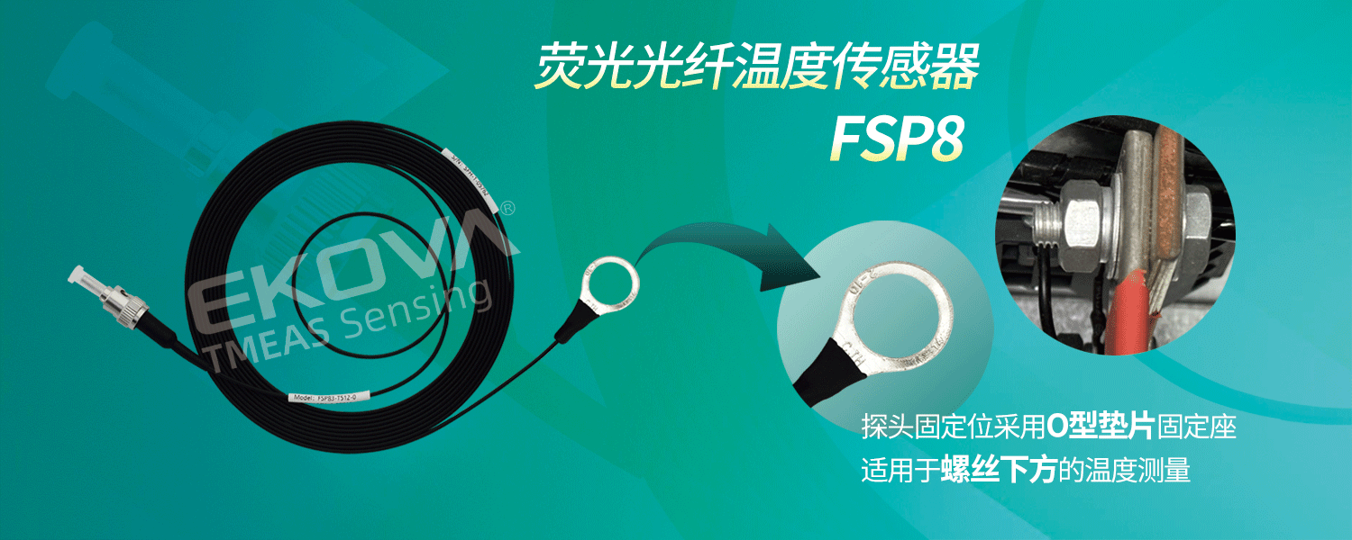 電機(jī)FSP8-輪播